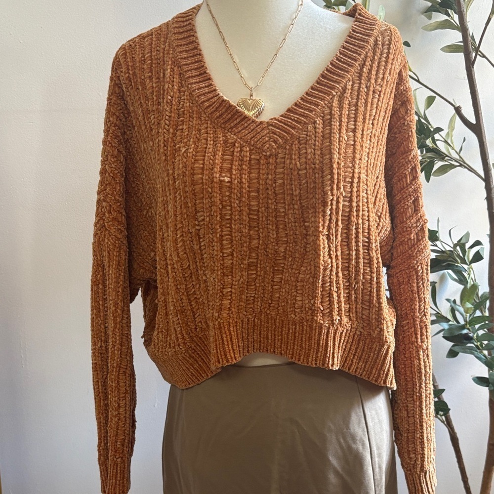 Wild Fable Rust V-Neck Sweater